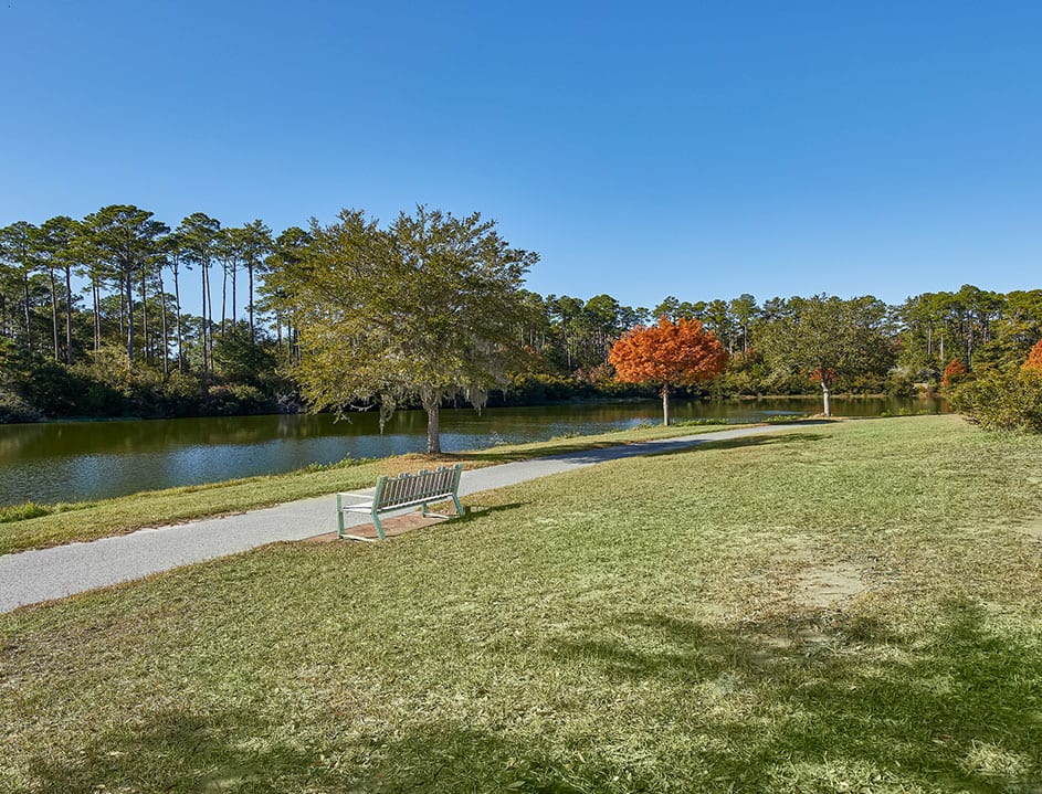 Bench near waterway